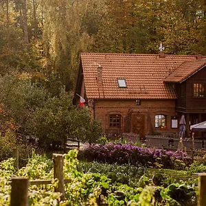 Tabun , Otomin Polska